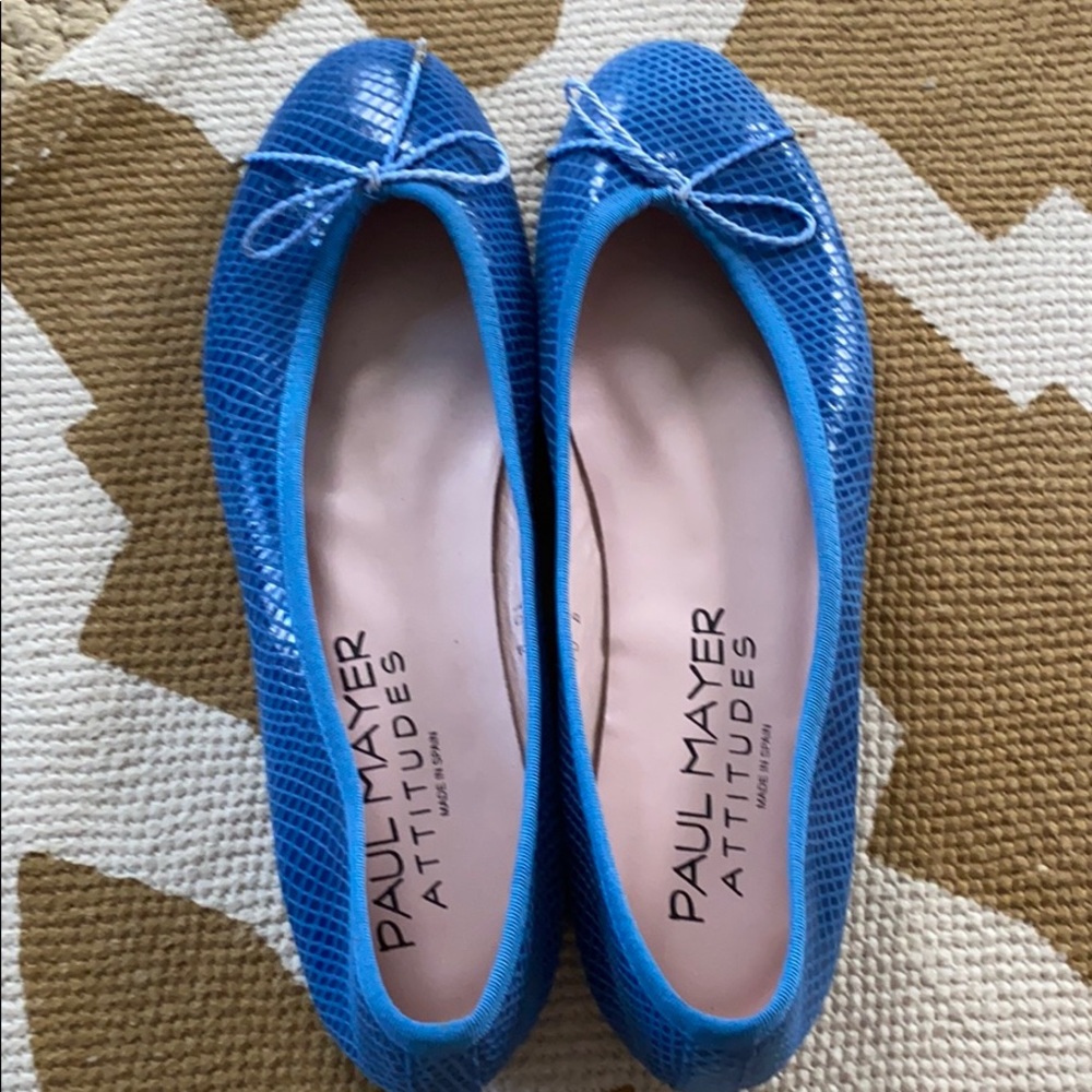 Blue leather scaly ballet flats